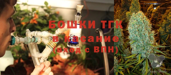 дживик Богородицк