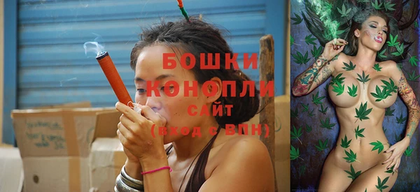 дживик Богородицк