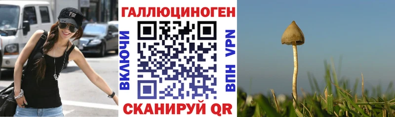 Псилоцибиновые грибы MAGIC MUSHROOMS  купить   Бородино 